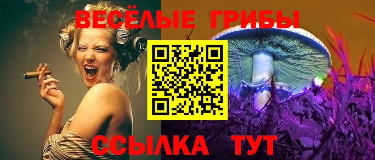 Галлюциногенные грибы GOLDEN TEACHER  Вход с VPN  Чернушка  Псилоцибиновые грибы GOLDEN TEACHER 