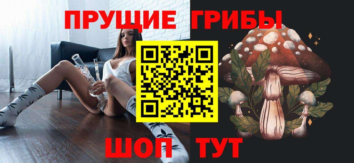 Псилоцибиновые грибы прущие грибы Чернушка